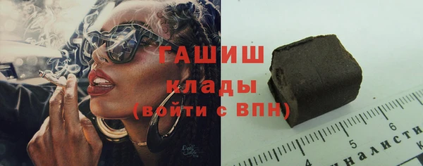 стаф Алексин