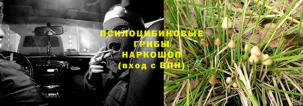 гидра Алексеевка