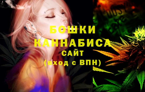 гидра Алексеевка