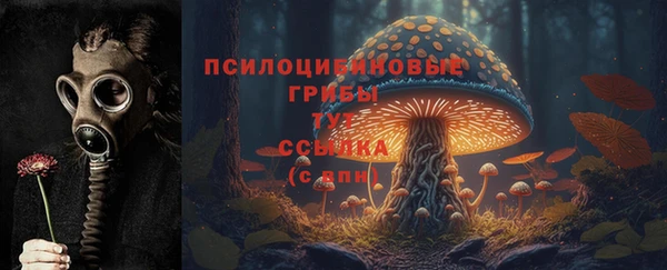 стаф Алексин