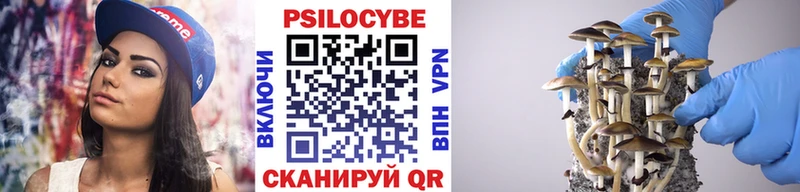 МЕГА как зайти  Гусь-Хрустальный  Псилоцибиновые грибы прущие грибы 