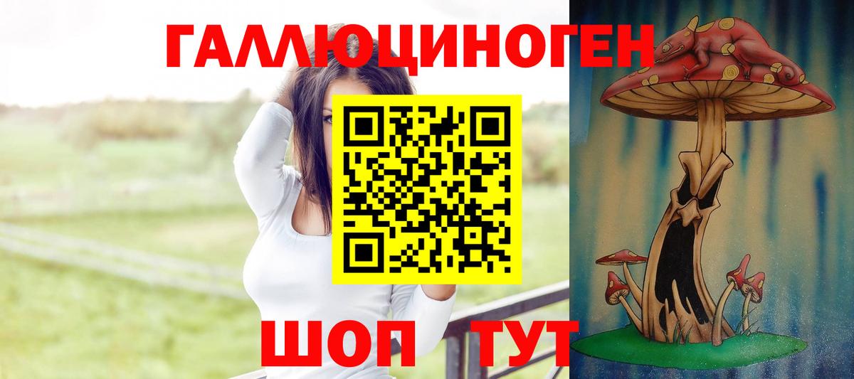 Гусь-Хрустальный  Псилоцибиновые грибы Psilocybine cubensis  Вход с VPN 